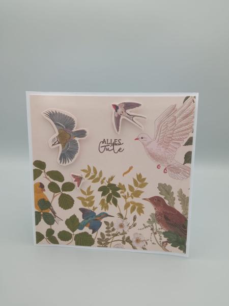 Zwitschernde Grüße für dich: "Alles Gute"-Karte mit vielen Vögeln
